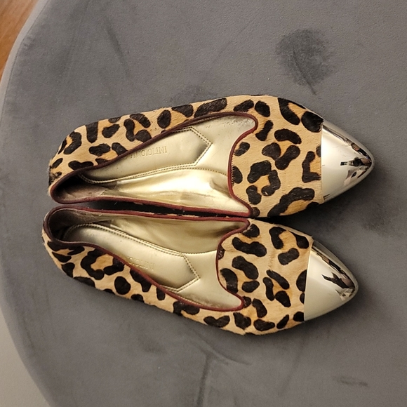 Leopard print flats with gold toe - Picture 1 of 3